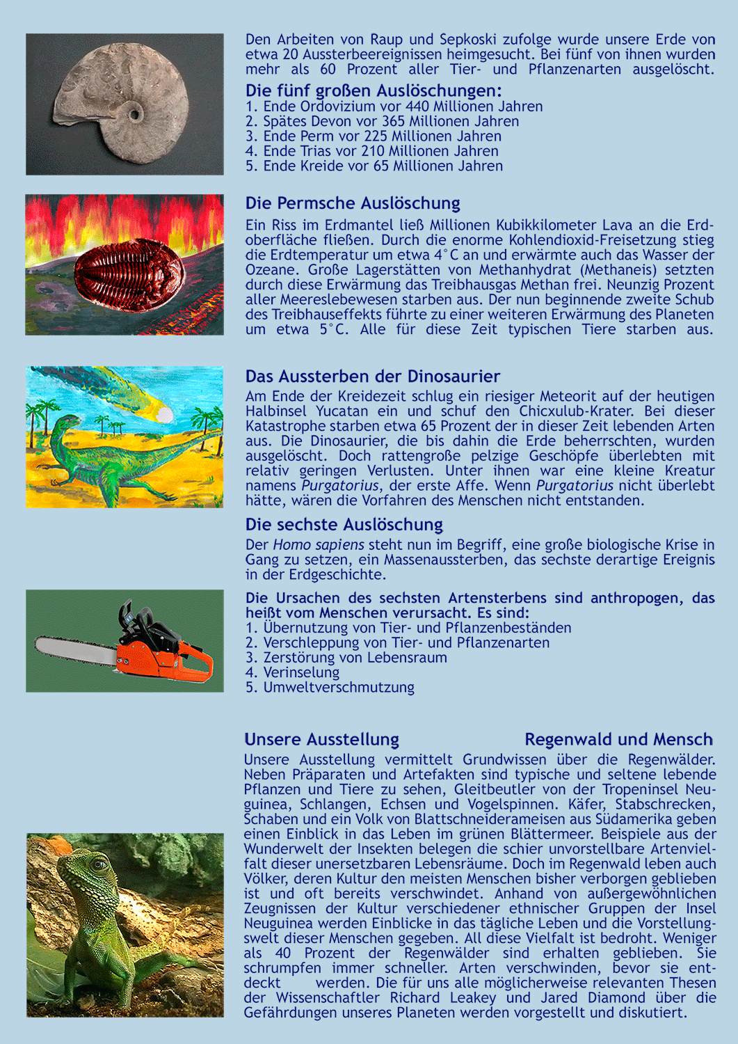 Ausstellungs-Flyer B