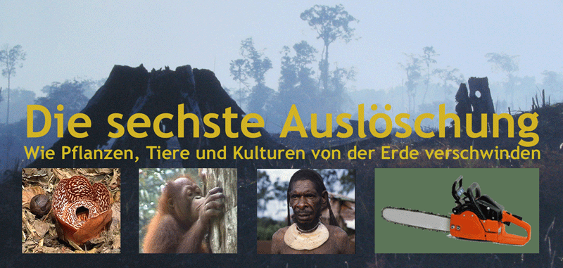 Einladung Ausstellung Grafik Auslschung