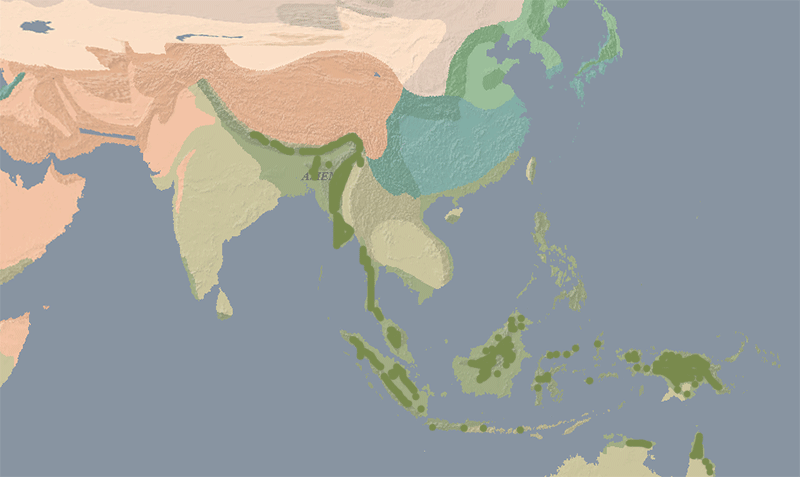 Karte Regenwlder Asiens