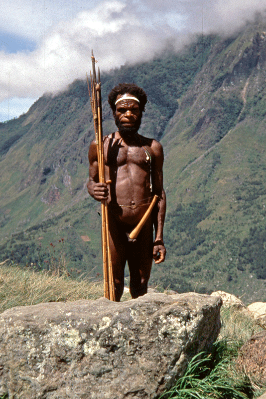 Dani-Krieger bei Tangma, West-Papua
