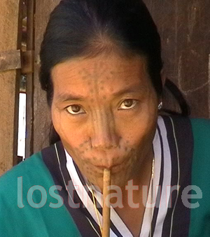 Junge Gin Frau in Myanmar