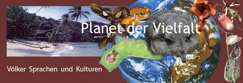 Kollage Organismen