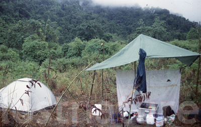 Lichtfang am Mount Cyclop in West-Papua 1999