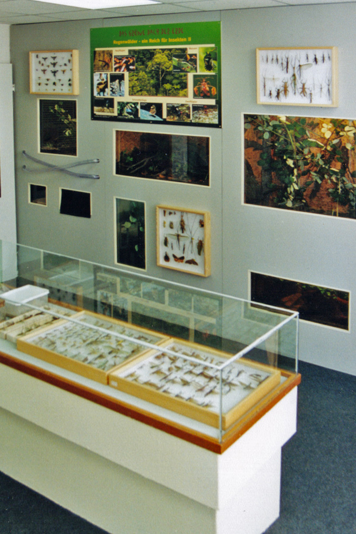 Ausstellungsraum Grnes Dach 2003